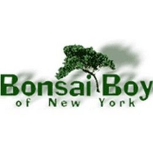 Bonsai Boy