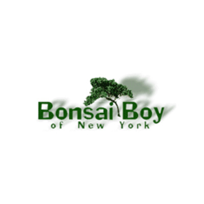 bonsaiboy